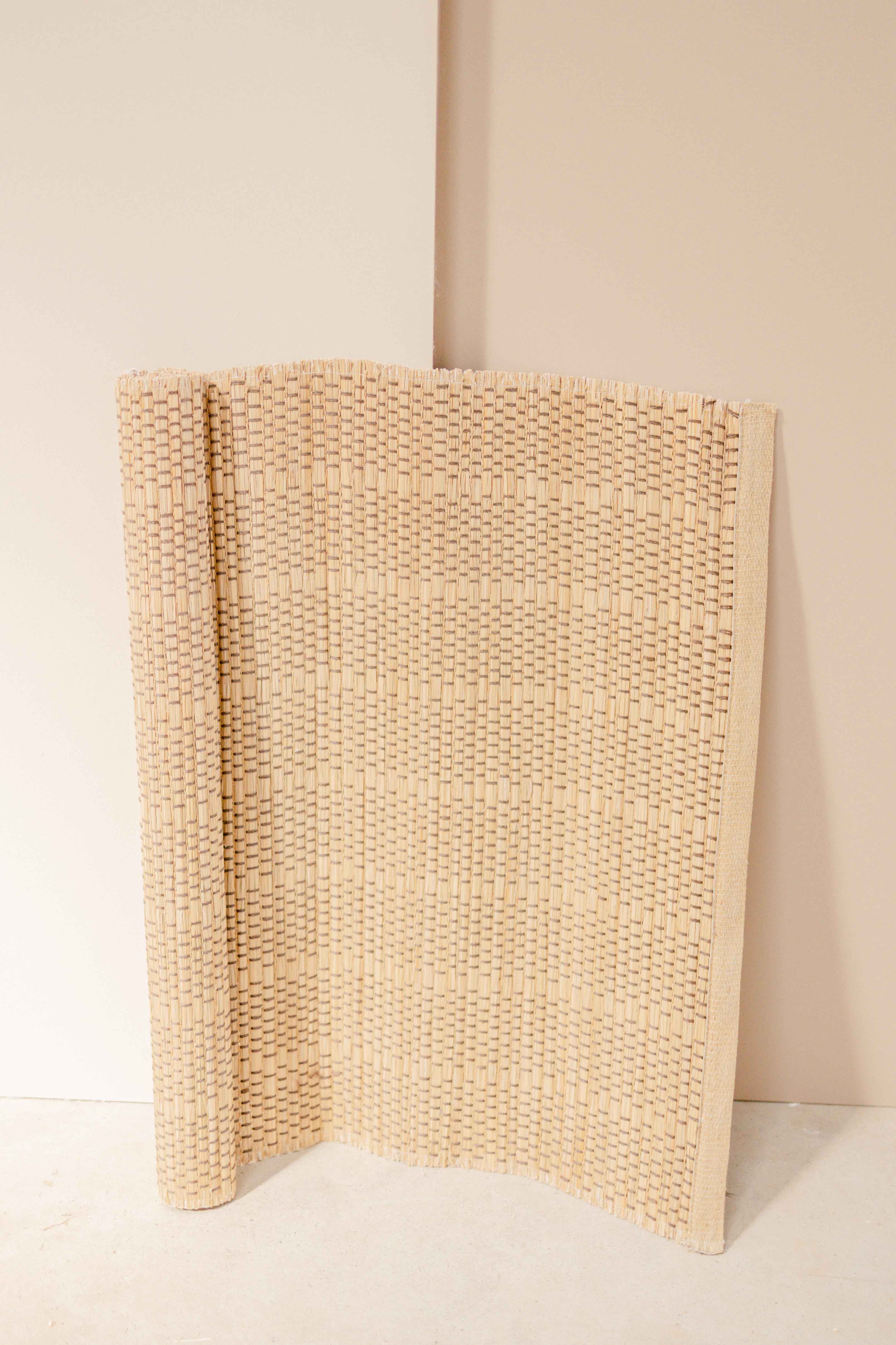 Image du produit Eustoma tapis osier petit